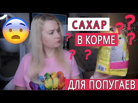 Видео: ВИДЫ КОРМОВ ДЛЯ ПОПУГАЕВ | СКОЛЬКО КОРМА ДАВАТЬ ПОПУГАЮ | КАК ПЕРЕВОДИТЬ ПОПУГАЯ НА НОВЫЙ КОРМ