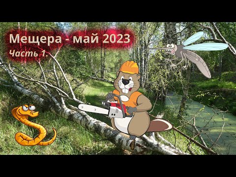 Видео: Мещера2-23 [1/2] Снова в Мещёру на велосипеде. Сеньга. По дороге-реке в поисках таинственных озер!
