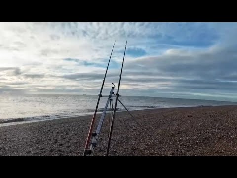 Видео: Рыбалка во время отлива и на дне моря, ищущая наш первый улов в этом сезоне