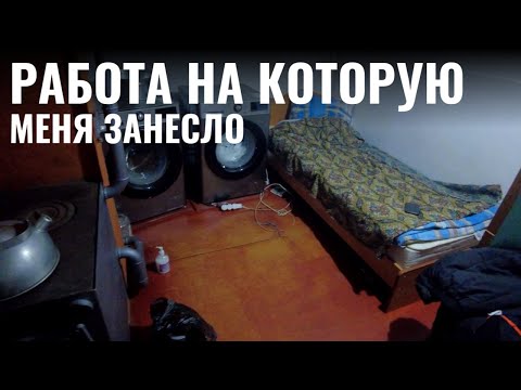 Видео: Работа на которую меня занесло. Жизнь в деревне после переезда.