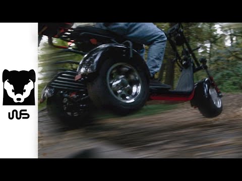 Видео: Трехколесный Электроскутер Citycoco WS PRO TRIKE 2020-2021. Самый проходимый Трайк!