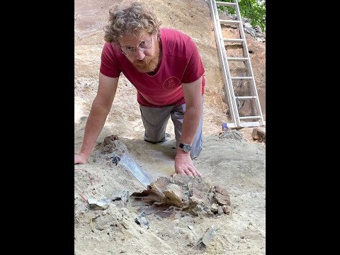 Видео: Александр Очередной. Каменные орудия и находки в Хотылёво: некоторые результаты экспедиции 2022 г.