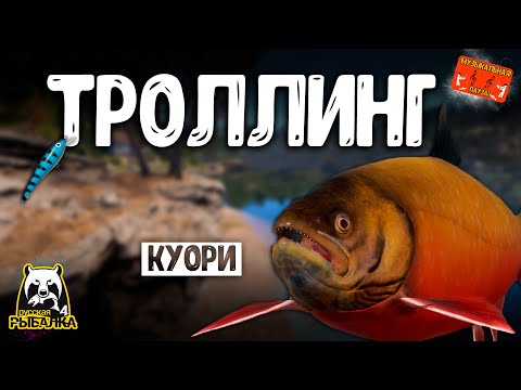 Видео: 🔴Озеро Куори, троллинг на воблеры и фарм. РУССКАЯ РЫБАЛКА 4