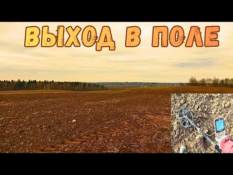 Видео: Поиск монет с Minelab x-terra elite 