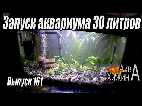 Видео: Запуск аквариума 30 литров (Аква Хижина, выпуск 161)