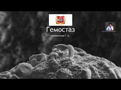 Видео: Гемостаз 2.1 Теория гемостаза, гипокоагуляция и гиперкоагуляция