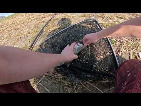 Видео: Рыбалка в Германии. Отличное открытие фидерного сезона!