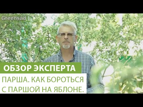 Видео: Парша. Как бороться с паршой на яблоне.
