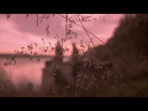 Видео: элли на маковом поле - злые духи )атмосфера(