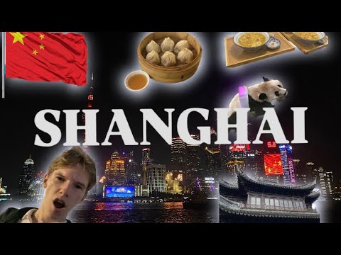 Видео: ЛЮТЫЙ влог из КИТАЯ🇨🇳🥢| зоопарк и СМЕРТЕЛЬНЫЕ пельмени☠️🥟 ч.1