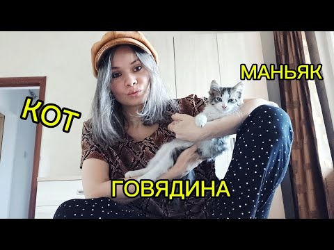 Видео: Второе свидание с "маньяком". Кот вынуждает есть говядину. Готовим макароны по-флотски. 