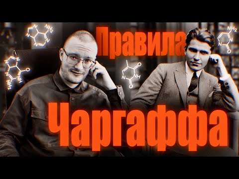 Видео: Правила Чаргаффа. Решение задач | Понятный разбор