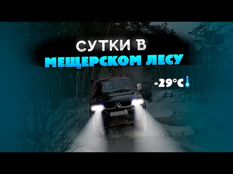 Видео: Зависли на всю ночь в зимнем лесу