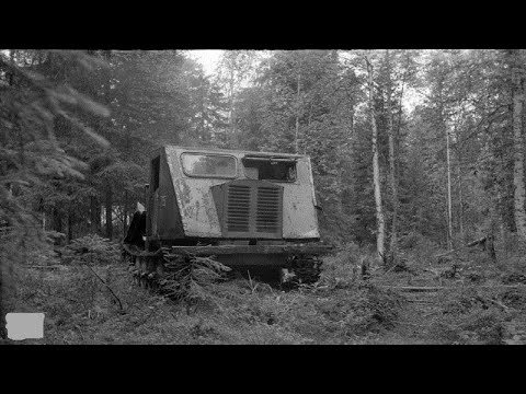 Видео: В лесу нашли трактор тдт...