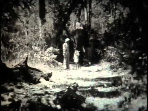 Видео: Рикки Тикки Тави