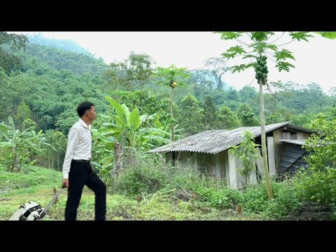 Видео: полное видео_30 дней Генеральный директор Куинь Чиеу покинул город, чтобы построить каменный дом в л