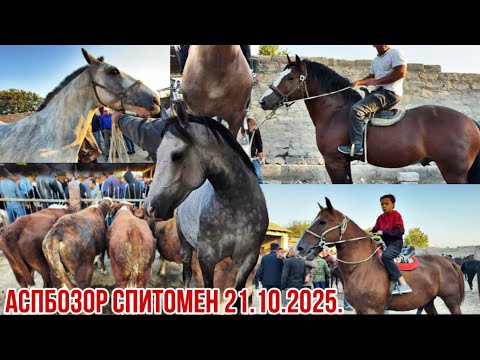 Видео: Аспбозор Спитомен 21 сентября 2025 г.
