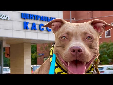 Видео: НАС ЖДУТ ПЕРЕМЕНЫ В БЛИЖАЙШЕЕ ВРЕМЯ