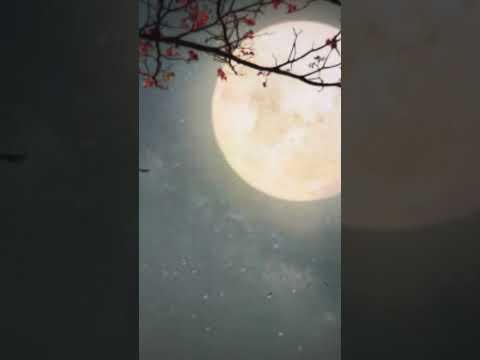 Видео: «Толчок к Действию» готовимся к 7.10. 2025 https://youtube.com/@olgavoronoffru?si=z3oGxwBejxe1Vx2L