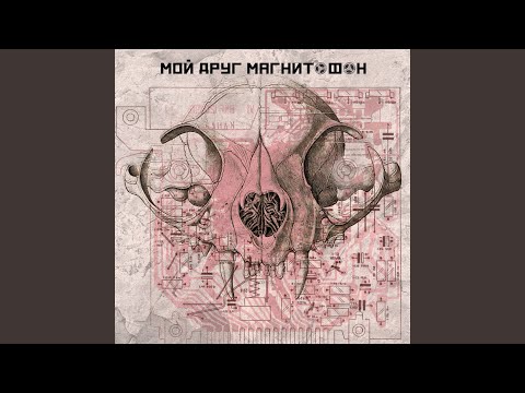 Видео: петля