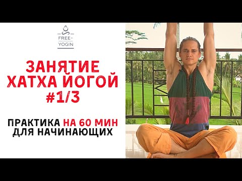 Видео: Занятие хатха йогой для начинающих на 60 минут (1/3 видео) с Александром Раевским (Free yogin)