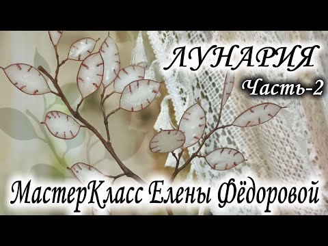 Видео: 🌿МК Лунария - Часть 2🌿