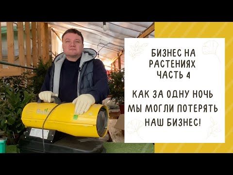 Видео: НИКОГДА НЕ ДОПУСКАЙТЕ ЭТУ ОШИБКУ, ЕСЛИ НАЧИНАЕТЕ ЦВЕТОЧНЫЙ БИЗНЕС!
