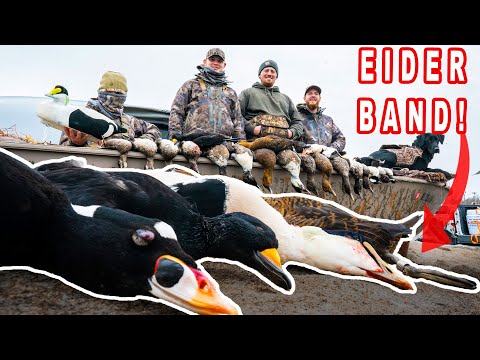 Видео: ОХОТА НА МОРСКИХ УТОК | Макет лодки для охоты на уток