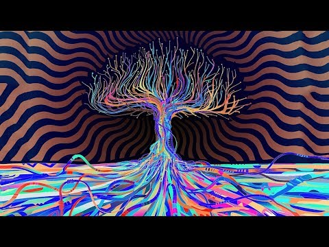 Видео: Последствия депривации сна в течении 65 часов