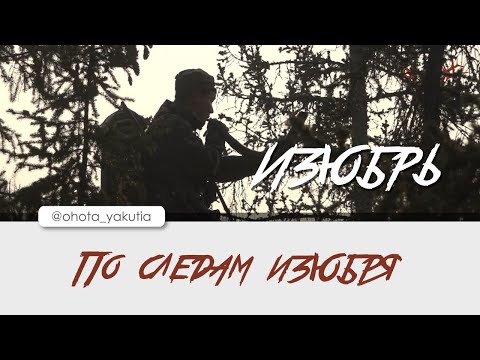 Видео: По следам изюбря. Якутский трофей!