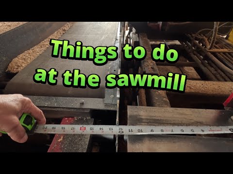 Видео: Распиловка сосны и другие дела # 792