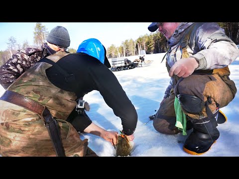 Видео: НЕСИ БАГОР, НЕ ЛЕЗЕТ В ЛУНКУ! / ЖОР ЩУКИ НА БЛЕСНУ / ЗАКРЫЛИ СЕЗОН ЛЬДА 2023! / Часть 3