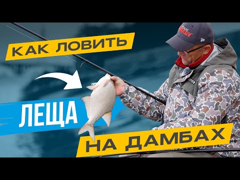 Видео: Хочешь НАЛОВИТЬ ЛЕЩА? Езжай НА ДАМБУ!