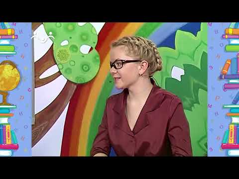 Видео: Школа Шишкиного Леса. Русский язык. Буква "Д"