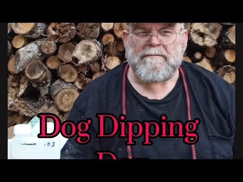 Видео: DDD,,, День купания собак с перметрином 10%, разбавленным до примерно 4,4%, и SNOOTER