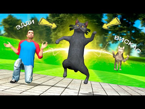 Видео: Мысық Екеуміздің денеміз қосылып кетті!