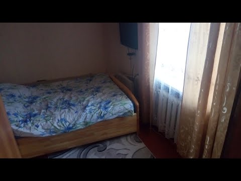 Видео: Где и как проводились стримы Cat Simulator Live