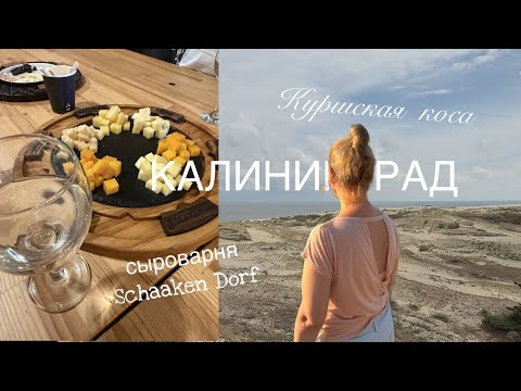 Видео: 😌Сыр Лиска бесподобен! 🐟И уха из 5 видов рыб!
