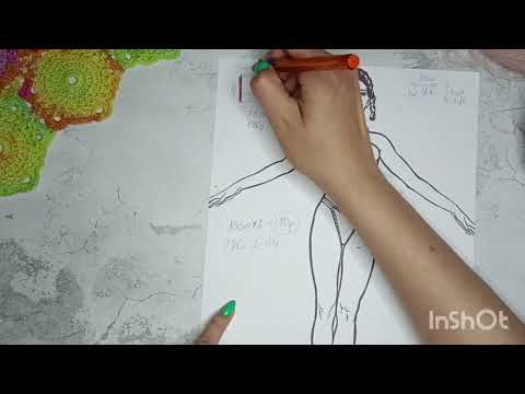 Видео: Кардиган-шраг. С чего начинаем вязание🧶🧶🧶