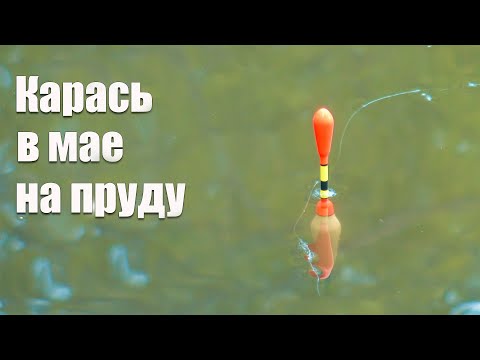 Видео: Ловля карася в мае на деревенском пруду на поплавок