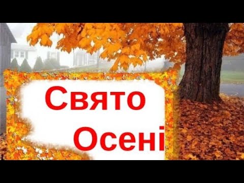 Видео: 7 листопада 2024 р.