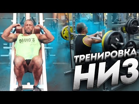 Видео: Тренировка для нижней части тела "НИЗ" Станислав Линдовер