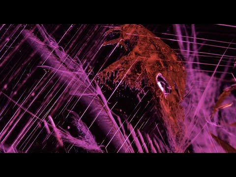 Видео: Энциклопедия корундов. Синтетическая имитация. Дуплеты.