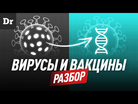 Видео: Вирусы и вакцины | РАЗБОР