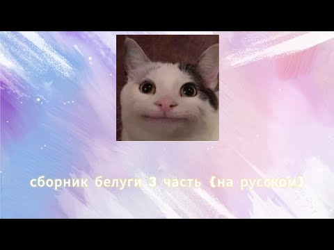 Видео: сборник белуги 3 часть txo studio {на русском}