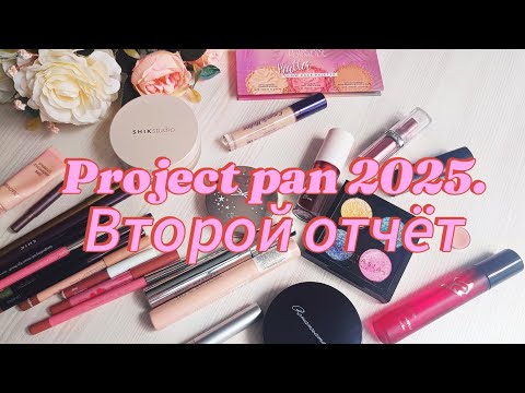 Видео: Project pan 2025. Второй отчёт.