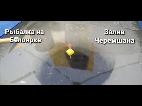 Видео: Рыбалка на Белоярке. Залив Черемшана.