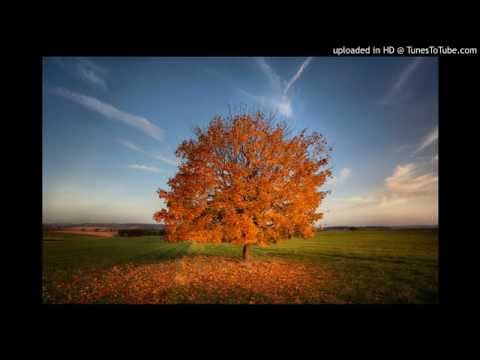 Видео: HOMIE - Просто умирай