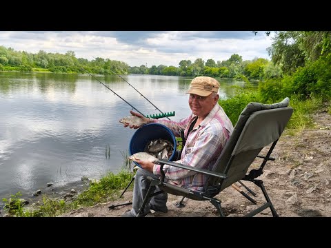 Видео: Первое фидерное знакомство, рыбалка на реке Десна 2025.