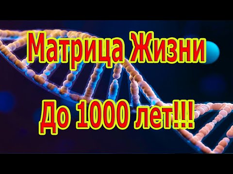 Видео: Самая Редкая и Мощная Матрица Жизнь до 1000 Лет!!!